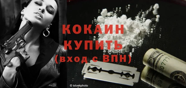 стаф Арсеньев