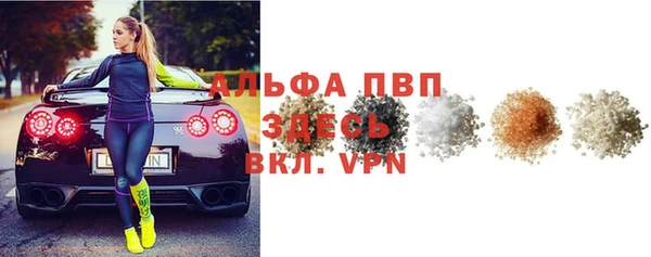 стаф Арсеньев