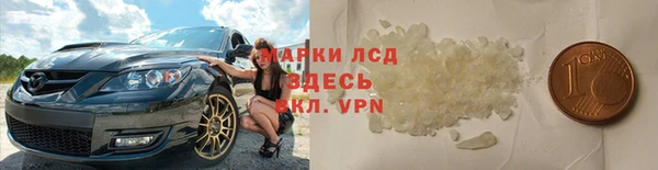 стаф Арсеньев