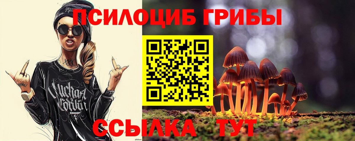 Галлюциногенные грибы Cubensis Шадринск